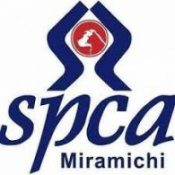 SPCA Miramichi