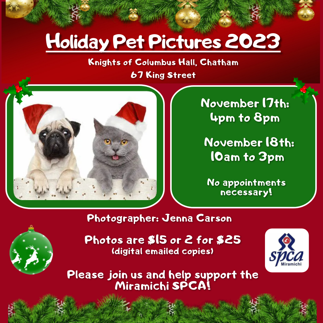 Holiday Pet Pictures SPCA Miramichi